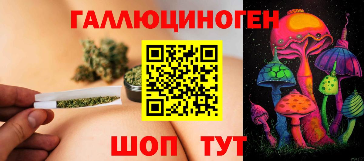 Нурлат  Галлюциногенные грибы Psilocybe  Вход с VPN 
